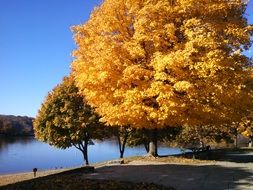 magnificent Fall Autumn