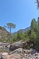 Beautiful river on Corsica