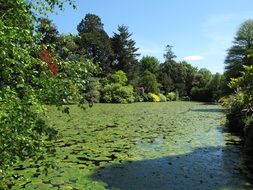 green park pond