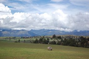 panoramic view of a green field in the countryside