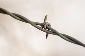 sharp barbed wire