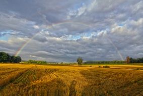 rainbow over yellow field in summer