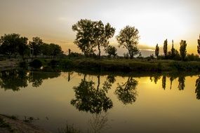 trees near the lake at dusk