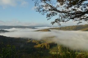 foggy Ardennes in Belgium