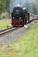 train on a narrow gauge among nature