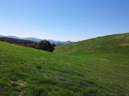 panoramic view of the endless green fields