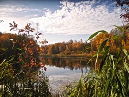 Landscape of the harmony in autumn