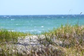 Beach On Baltic Sea