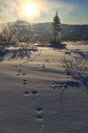 bright sun in the mountains in sweden