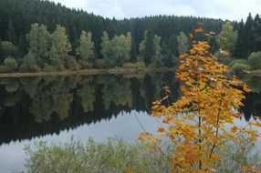 autumn landscape around a quiet lake