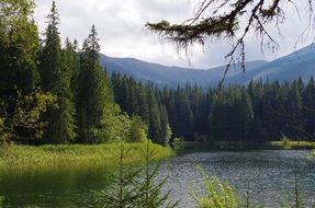 Clear Lake Water