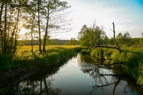 blue sky over the river in the village