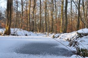Winter Tree Nature Dust Snow