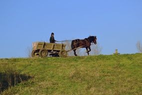 Wagon Countryside Farm Nature