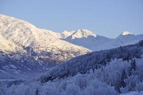 panorama of a picturesque snowy landscape