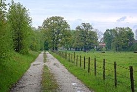 wide road along the pastures, germany, Bavaria