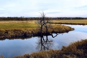 Photo of River landscape