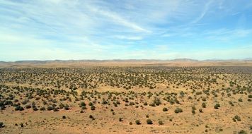 desert with grand canyon in background