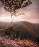 sunset in the green mountains
