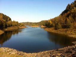 lake in the autumn forest on a sunny day