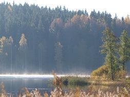 magnificent Sweden