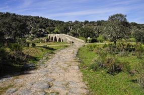 wide stone path among the picturesque landscape