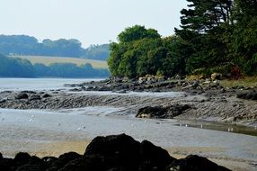 Pebbles near the river in brittany