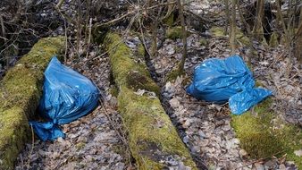 blue Plastic Bags