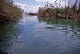 Bridge across narrow Channel with reed thickets