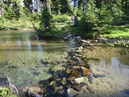 Lake in Washington State