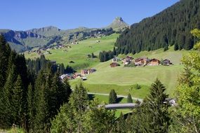 Beautiful landscape with the green valley on alpine mountain with the plants
