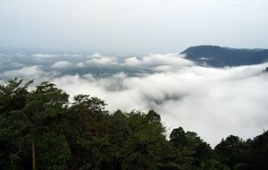 panorama of green forest in the clouds in the mountains of the western ghats