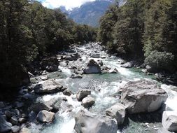 scenic mountain River on rocky bed streaming through forest, new zealand