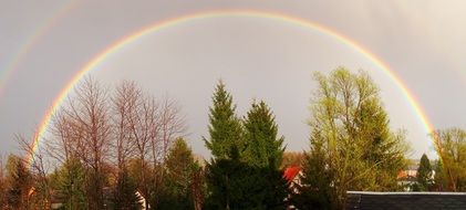 full rainbow over the forest