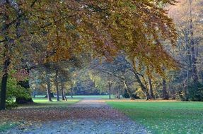 Autumn Kassel