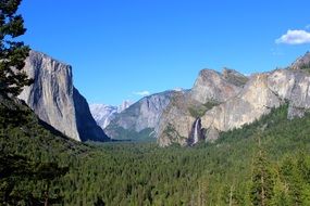 panorama of green forest in a valley in yosemite national park