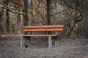 lonely wooden bench in the park