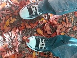 legs in sports shoes on autumn foliage