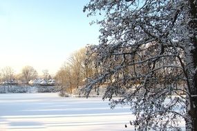 Landscape with the snow on the lake