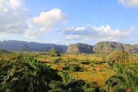 vikales valley in cuba