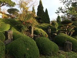 park landscaping