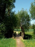 small bridge amid the picturesque landscape of bavaria