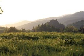 view of Pieniny mountains in summer