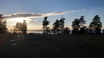 Ekeberg Forest The Nature Of The