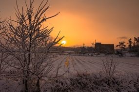 Snow Travel Street