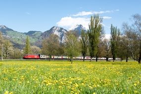 Spring Switzerland