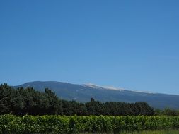 ventoux mountain in sunny day