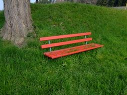 bench overgrown in grass