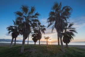 sunrise on the beach, Malaga