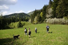 Tourists walking on a mountain meadow